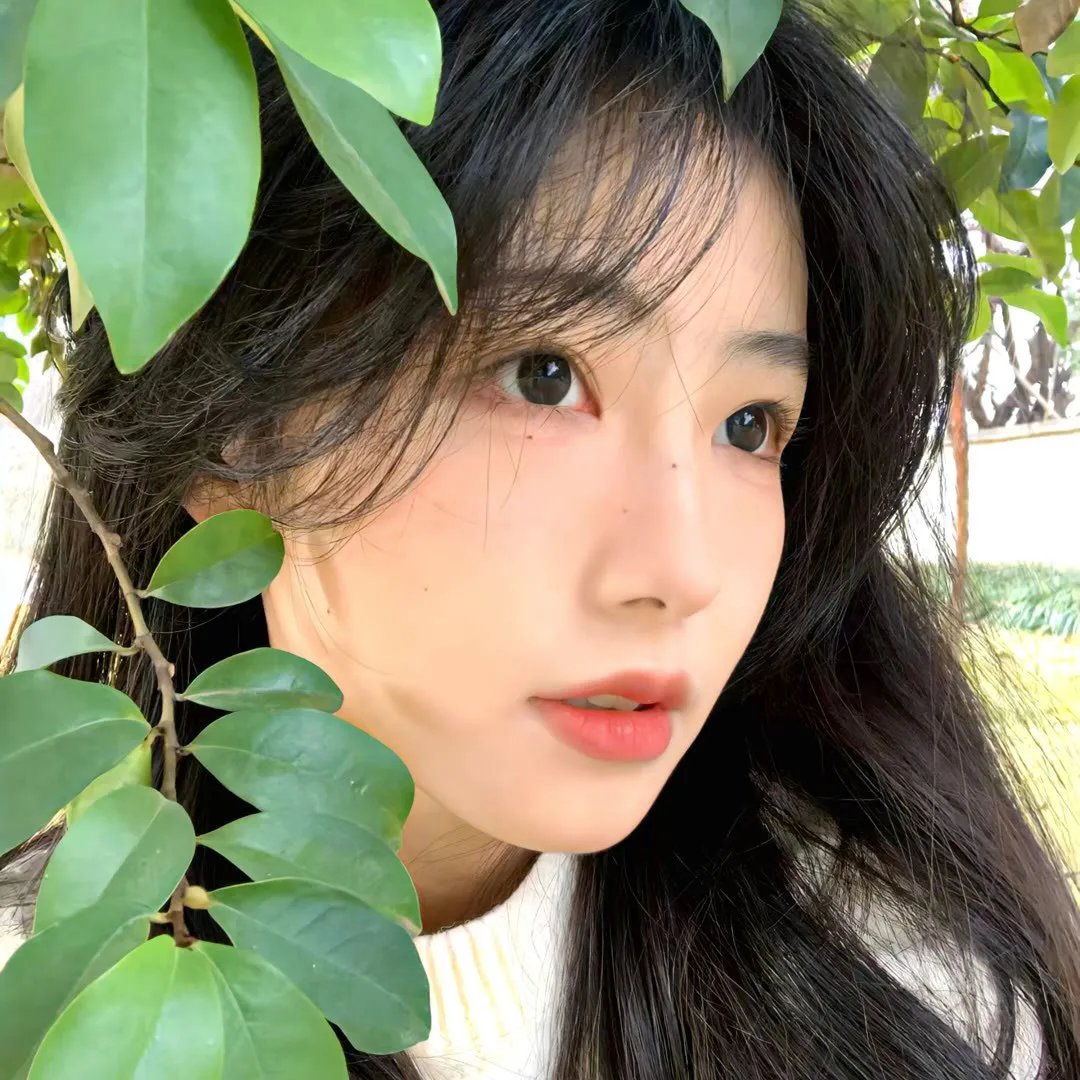 楚乔传